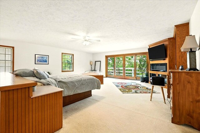 415 Lakeshore Rd, Ashland, OH 44805 - bedroom with light carpet, multiple windows, a textured ceiling, and ceiling fan