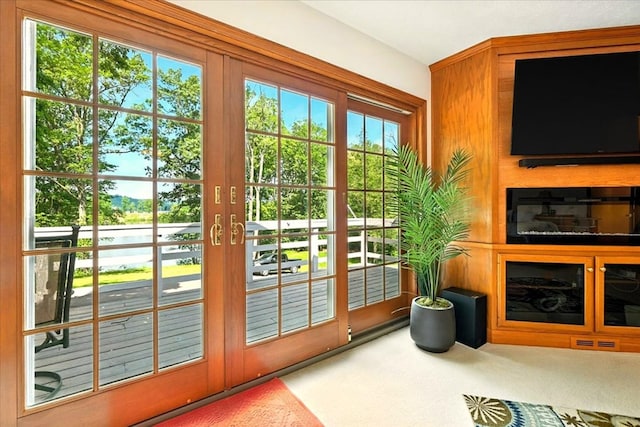 415 Lakeshore Rd, Ashland, OH 44805 - entryway featuring carpet, a water view, and french doors