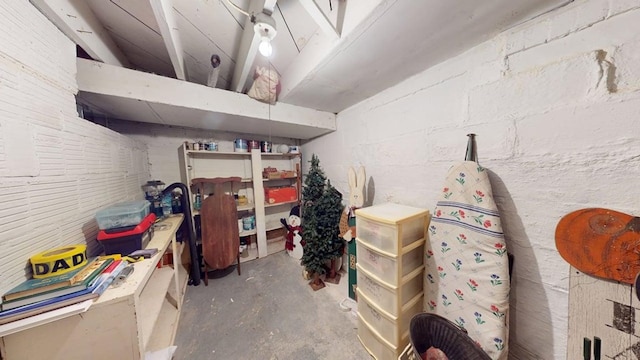 528 Maplewood St, Willard, OH 44890 - view of storage area