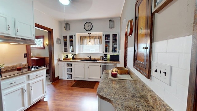 528 Maplewood St, Willard, OH 44890 - kitchen featuring under cabinet range hood, glass insert cabinets, stainless steel dishwasher, white cabinets, and wood finished floors