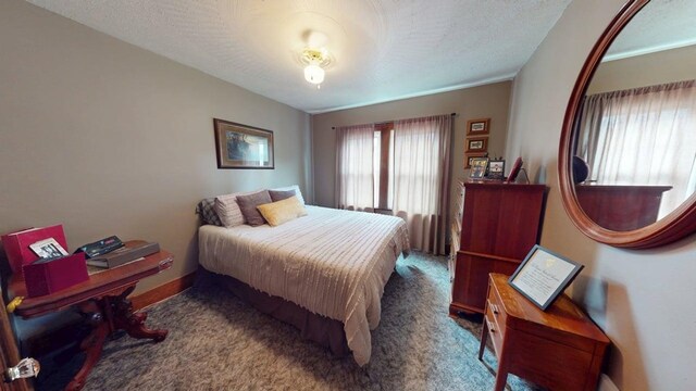 528 Maplewood St, Willard, OH 44890 - bedroom with carpet flooring