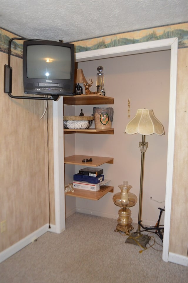 basement with carpet and a textured ceiling