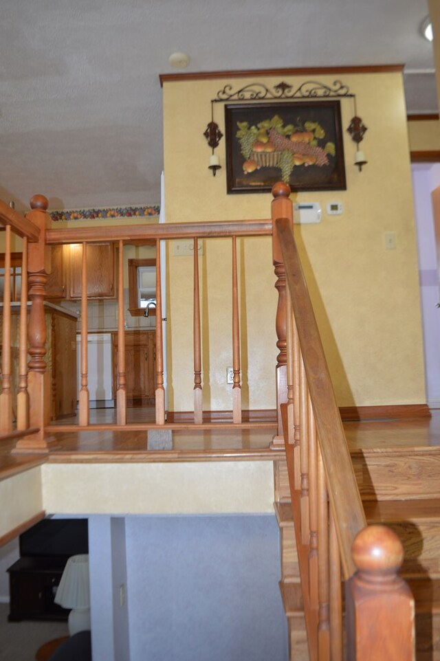 1411 Michigan Dr, Bucyrus, OH 44820 - photo 25