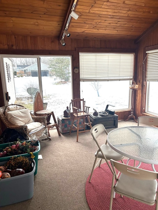 sunroom featuring wood ceiling and rail lighting