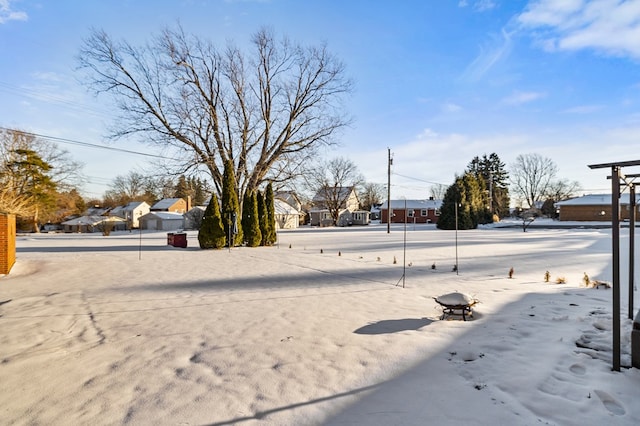 view of snowy yard