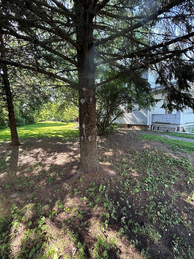 1221 N Sandusky Ave, Bucyrus, OH 44820 - view of yard