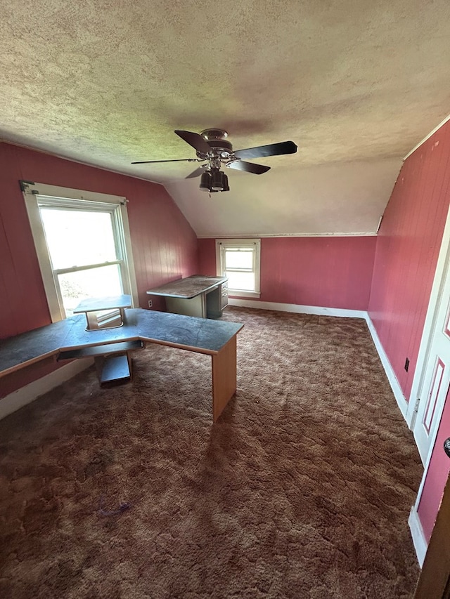 1221 N Sandusky Ave, Bucyrus, OH 44820 - additional living space featuring a textured ceiling, lofted ceiling, ceiling fan, carpet flooring, and wooden walls