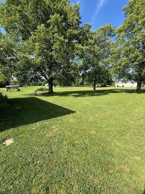 2415 State Route 96, Ashland, OH 44805 - view of grassy yard