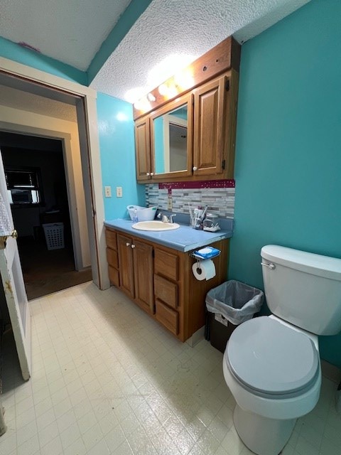 2415 State Route 96, Ashland, OH 44805 - bathroom with vanity, a textured ceiling, and decorative backsplash