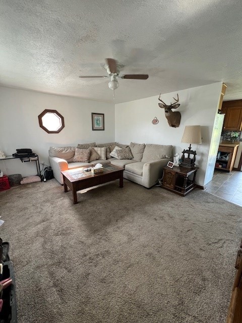 2415 State Route 96, Ashland, OH 44805 - living area featuring a textured ceiling, ceiling fan, and carpet floors