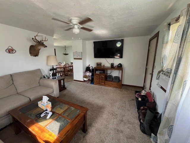 2415 State Route 96, Ashland, OH 44805 - living room with a ceiling fan, carpet flooring, and a textured ceiling