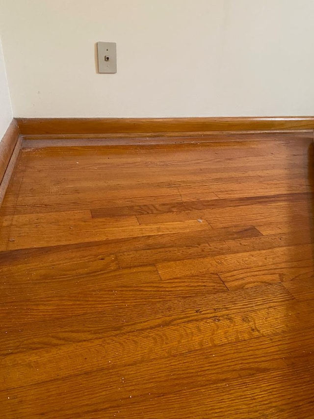 room details with wood-type flooring