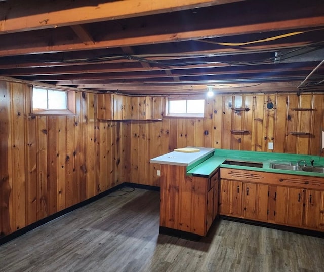 interior space with sink, dark hardwood / wood-style floors, wooden walls, and a healthy amount of sunlight