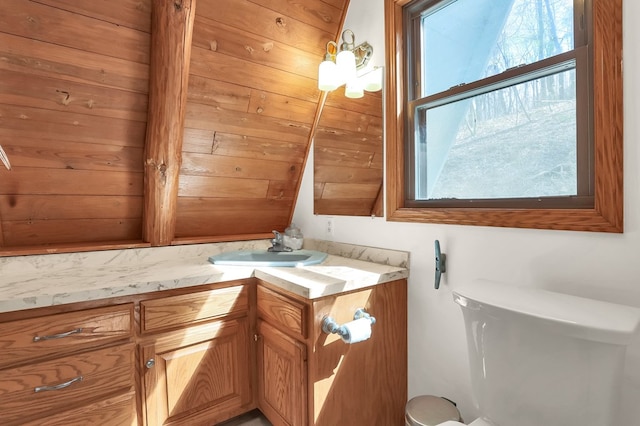 bathroom with toilet and vanity
