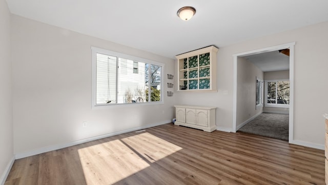 empty room with hardwood / wood-style flooring