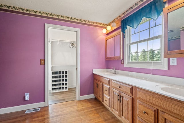 4299 County Road 20, Mount Gilead, OH 43338 - full bathroom featuring wood finished floors and double vanity