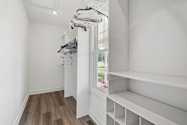 4299 County Road 20, Mount Gilead, OH 43338 - spacious closet with wood finished floors