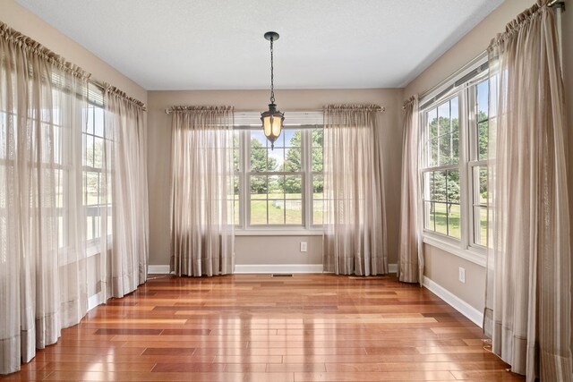 4299 County Road 20, Mount Gilead, OH 43338 - unfurnished dining area with healthy amount of natural light and hardwood / wood-style floors
