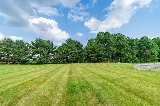 4299 County Road 20, Mount Gilead, OH 43338 - view of green lawn