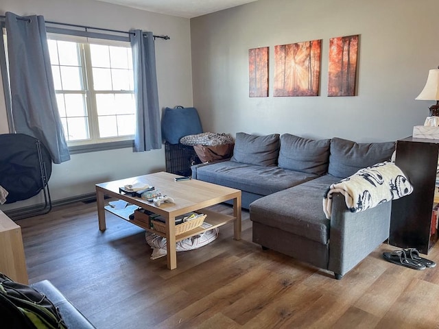 living area with wood finished floors