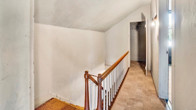 hallway with light carpet and lofted ceiling