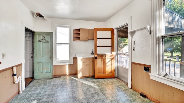 entryway with wooden walls