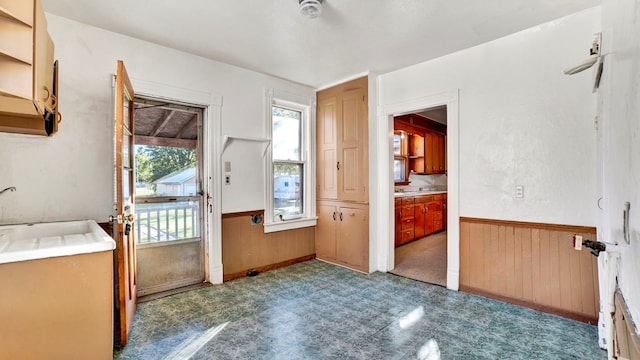 interior space with wooden walls and sink