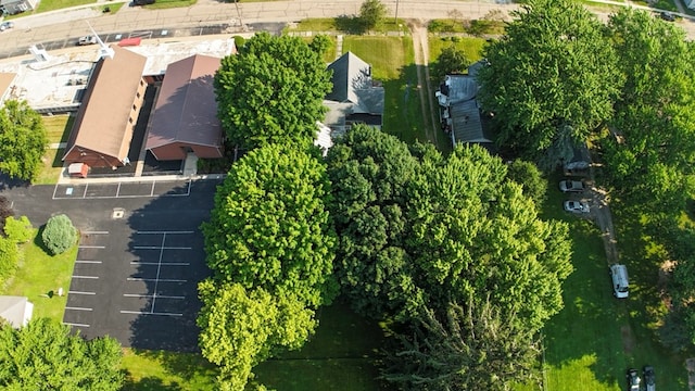 113 E Walnut St, Cardington, OH 43315 - photo 10