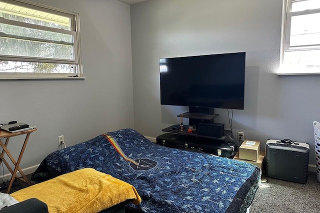 bedroom featuring carpet floors