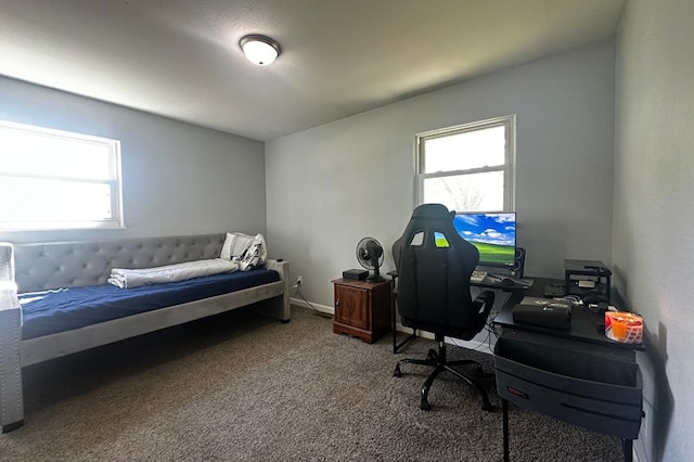 office space featuring carpet floors