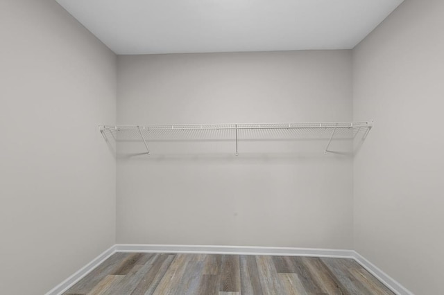 walk in closet with wood finished floors