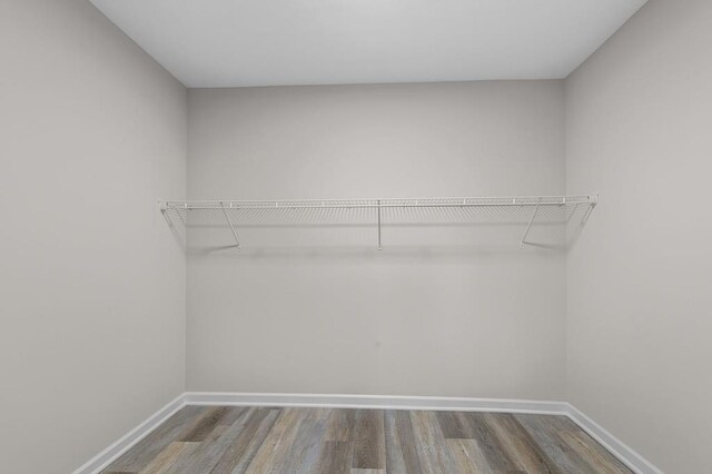 7326 State Route 19 Unit U3 L57-59, Mount Gilead, OH 43338 - walk in closet featuring wood finished floors