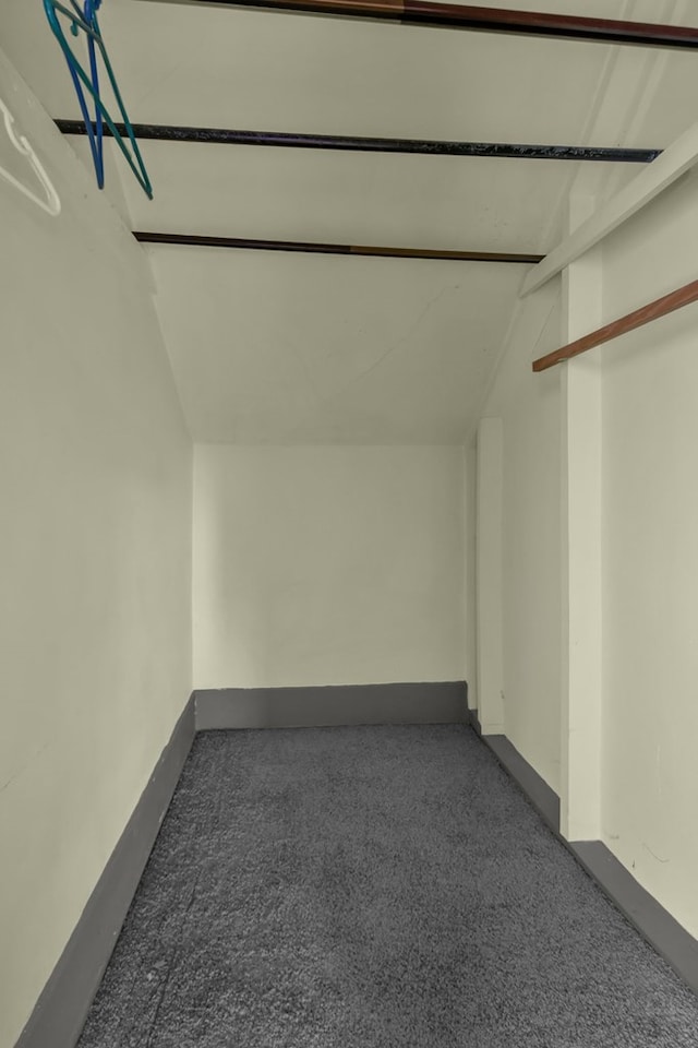 walk in closet featuring vaulted ceiling