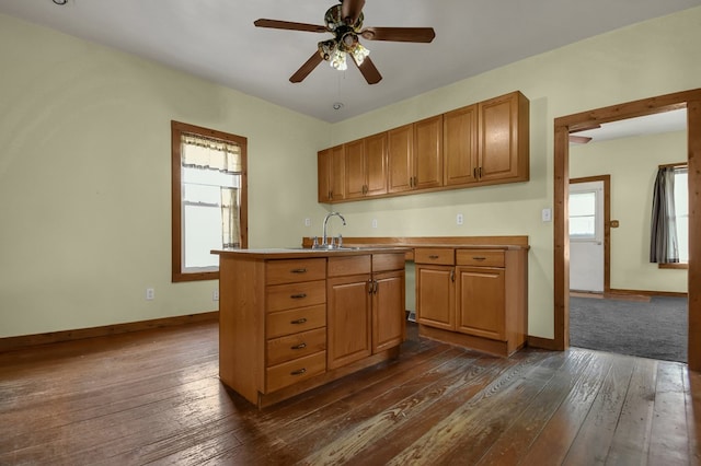 kitchen with ceiling fan, sink, and dark hardwood / wood-style floors