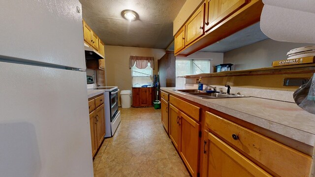 452 Daisy St, Mansfield, OH 44903 - kitchen with electric range, freestanding refrigerator, a sink, under cabinet range hood, and brown cabinetry