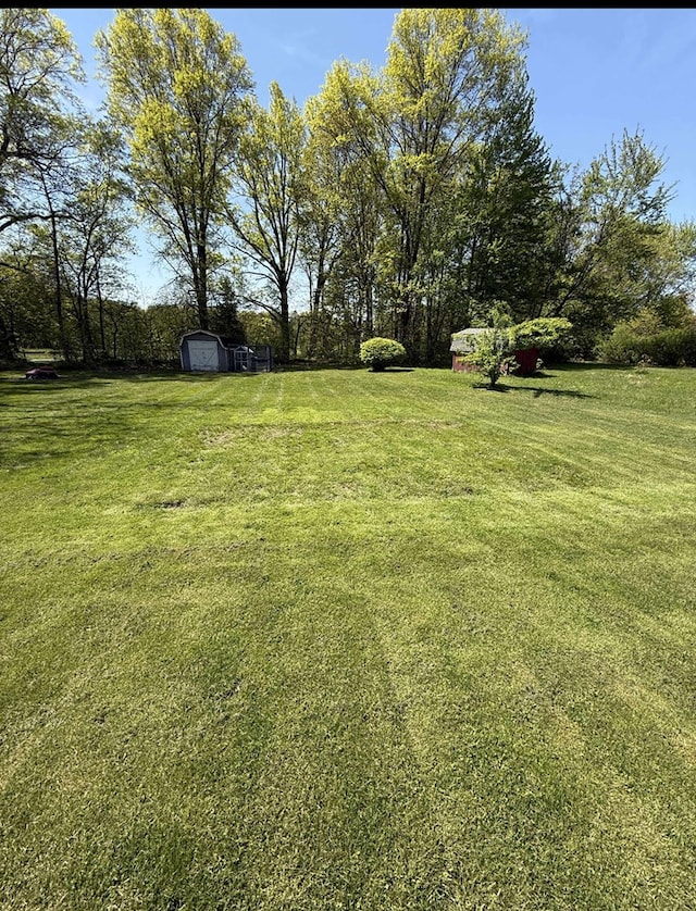 1085 Lewis Rd, Mansfield, OH 44903 - photo 32