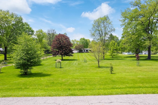 424 Day Rd, Mansfield, OH 44903 - surrounding community with a yard
