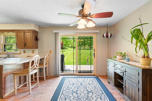 424 Day Rd, Mansfield, OH 44903 - kitchen featuring plenty of natural light, light countertops, light wood-style floors, a ceiling fan, and a textured ceiling