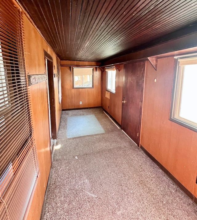 interior space featuring carpet flooring, wood ceiling, baseboards, and wood walls