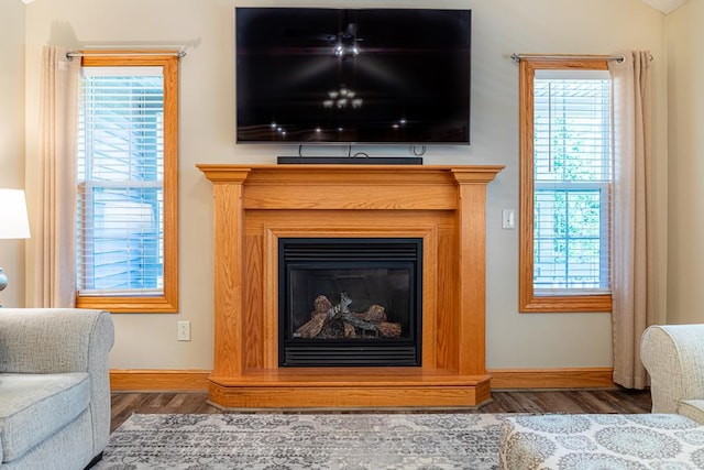 details featuring a glass covered fireplace, baseboards, and wood finished floors