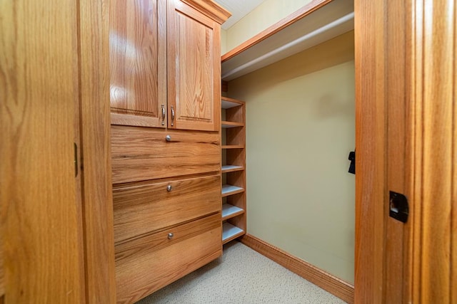 view of closet