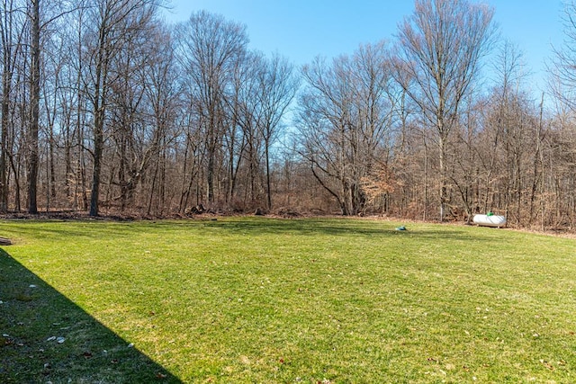 view of yard featuring a forest view