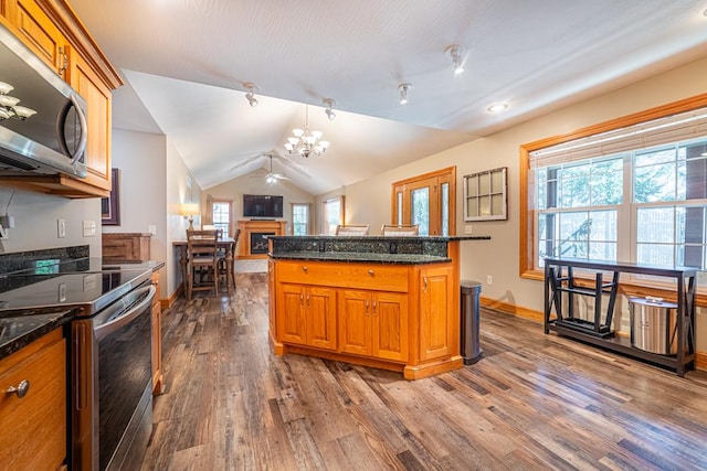 kitchen with stainless steel appliances, lofted ceiling, dark wood finished floors, and ceiling fan with notable chandelier