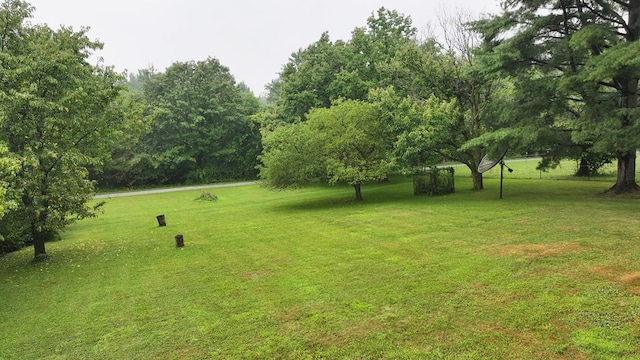 1746 W Hanley Rd, Mansfield, OH 44904 - photo 21