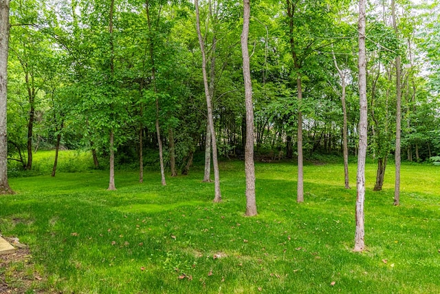 7326 State Route 19 Unit 255-257, Mount Gilead, OH 43338 - photo 12