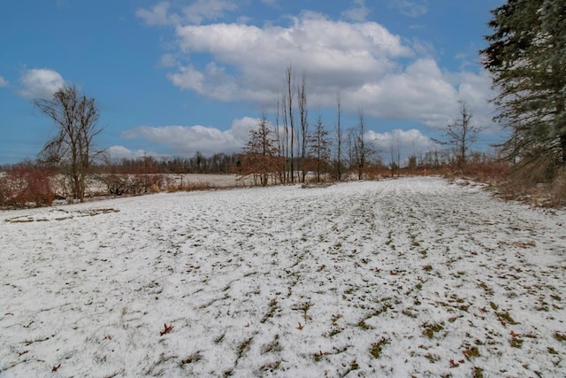 view of yard covered in snow