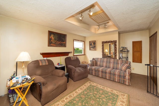 1163 Bowen Rd, Mansfield, OH 44903 - carpeted living area with rail lighting, a textured ceiling, and a raised ceiling