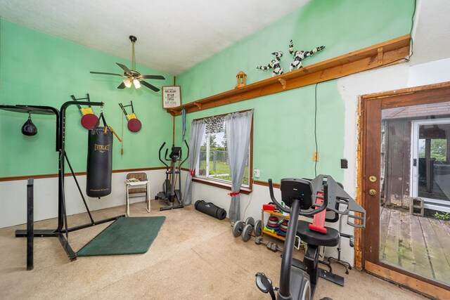 1163 Bowen Rd, Mansfield, OH 44903 - workout area featuring a ceiling fan, vaulted ceiling, and carpet