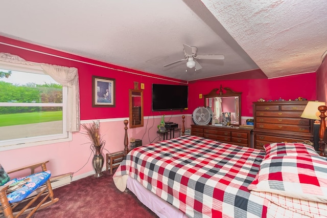 1163 Bowen Rd, Mansfield, OH 44903 - bedroom with carpet floors, a textured ceiling, ceiling fan, and a baseboard radiator