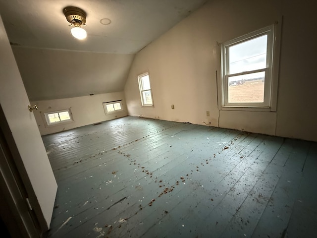 additional living space with lofted ceiling